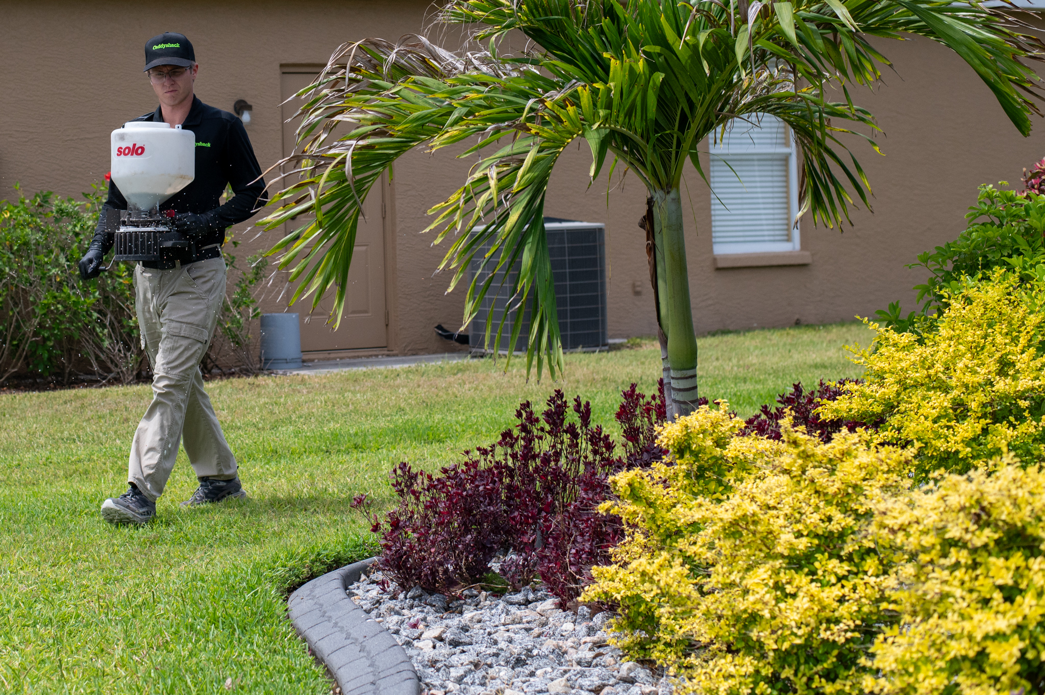Professionally fertilized grass in St. Petersburg Florida