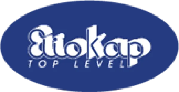 White stylized text reading 'Bitokap TOP LEVEL' on a blue oval background.