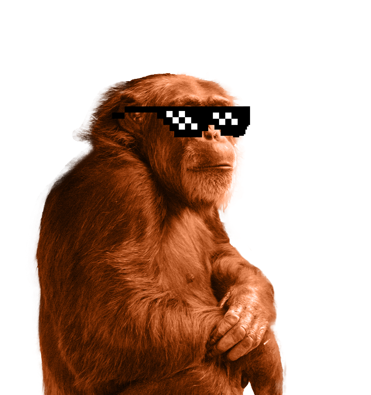 Mono