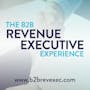 Text “The B2B Revenue Executive Experience” and website b2brevexec.com with VSA branding