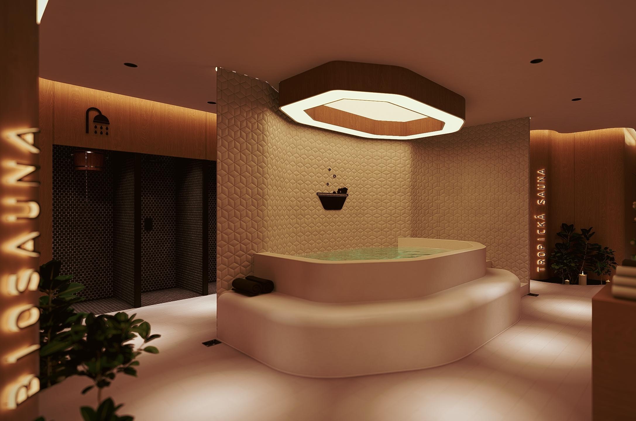 Vizualizace wellness 1