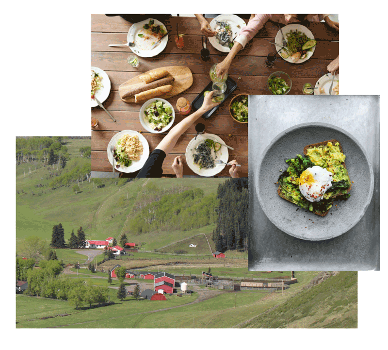 Moodboard of colour inspiration.