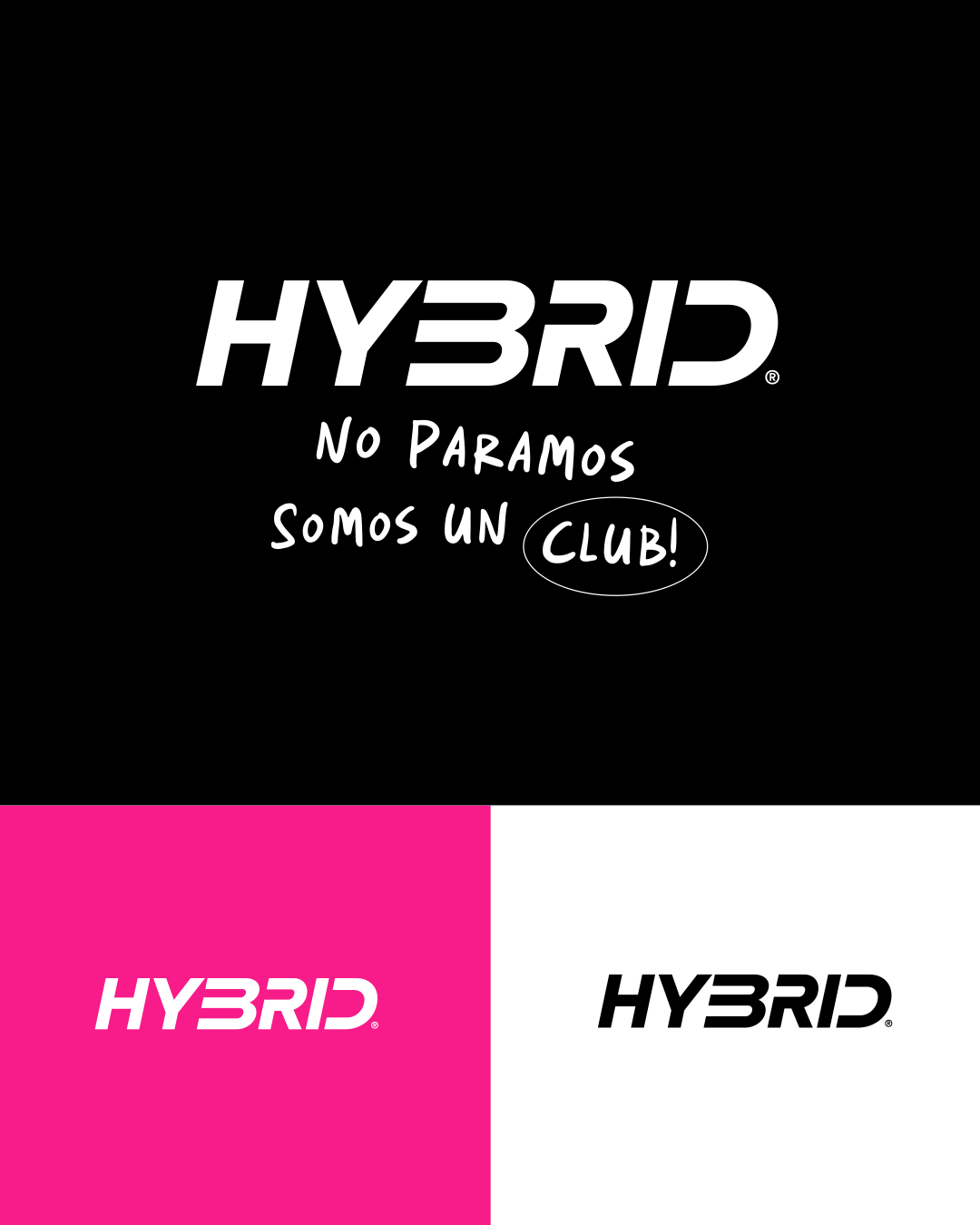 Diseño de branding estratégico para Avianti, empresa de turismo sostenible