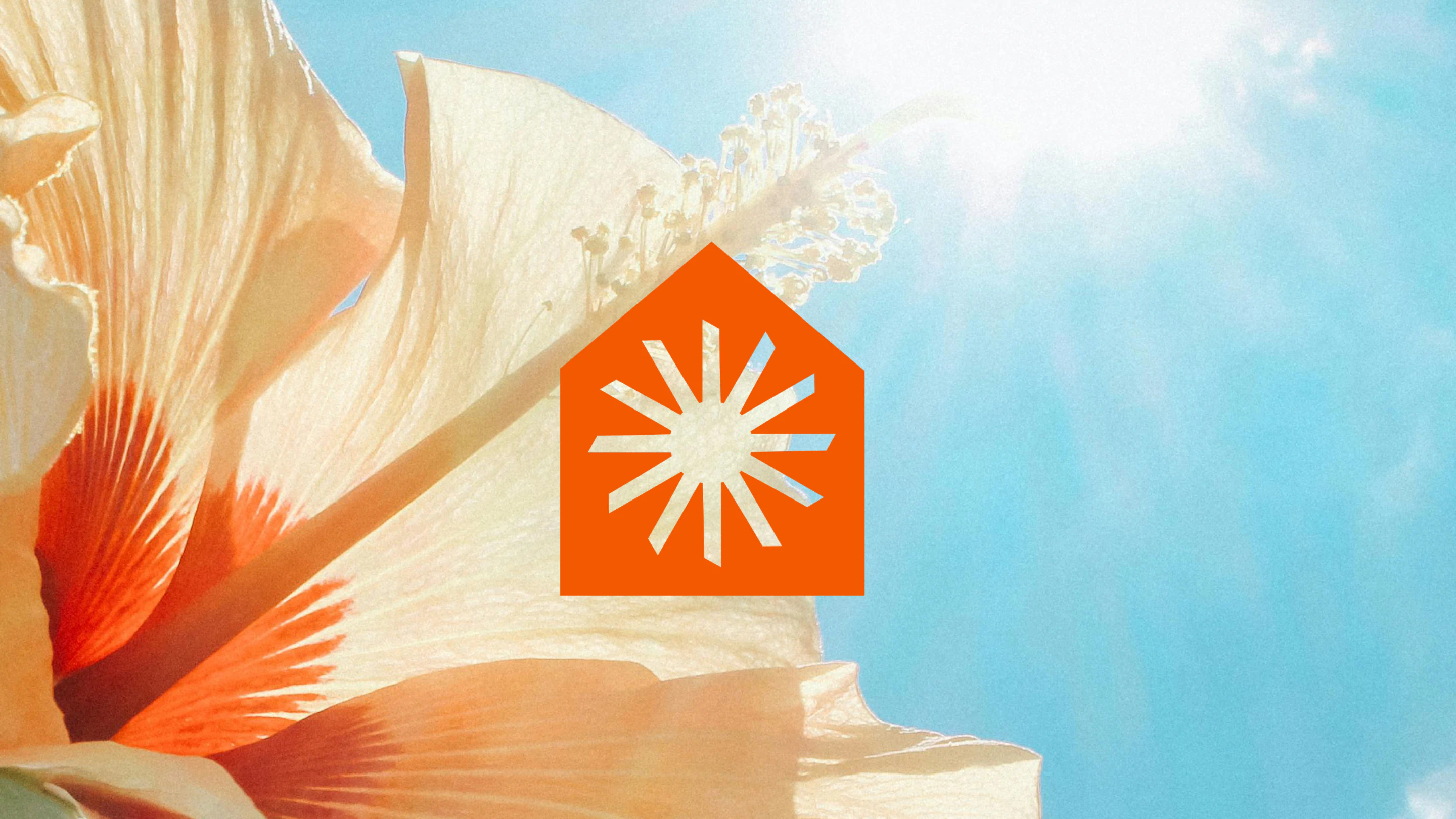 Sunny Stays Brand Identity