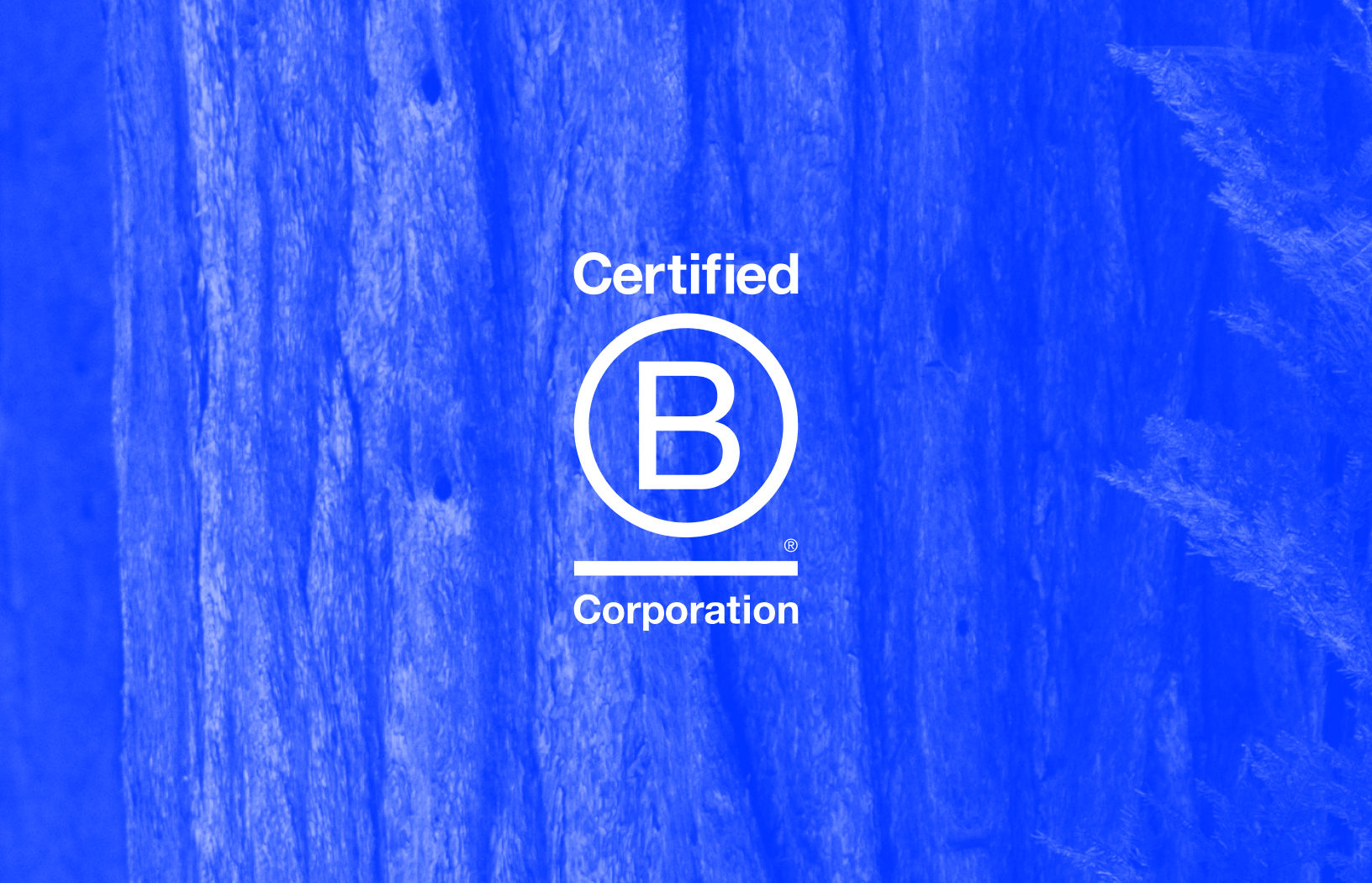 Certified B Corporation logo on a blue textured background