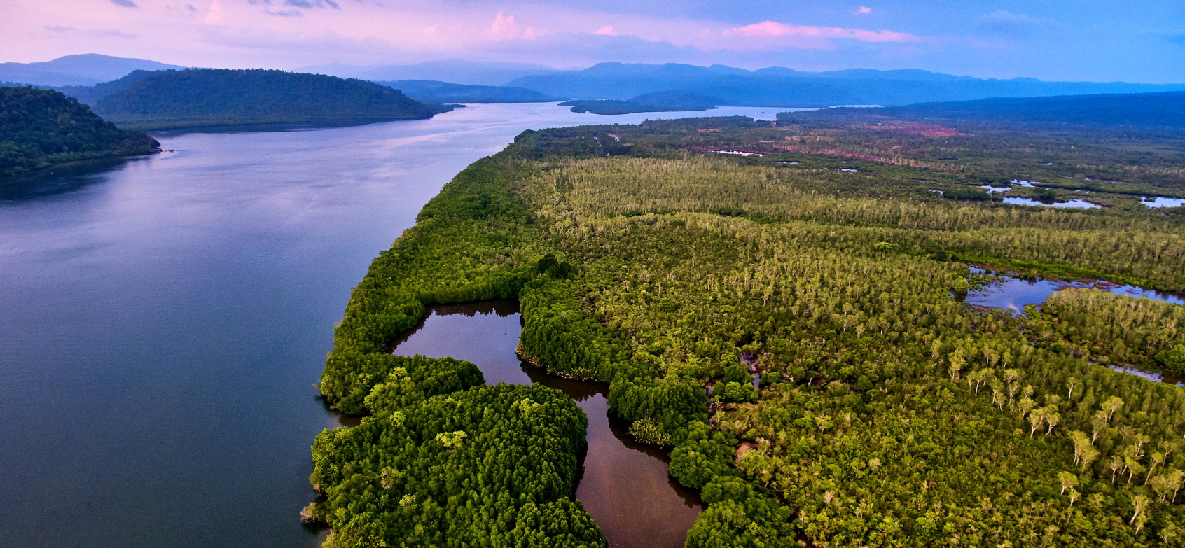 Aerial view of a forested river estuary at dusk in Cambodia's Cardamom Mountains