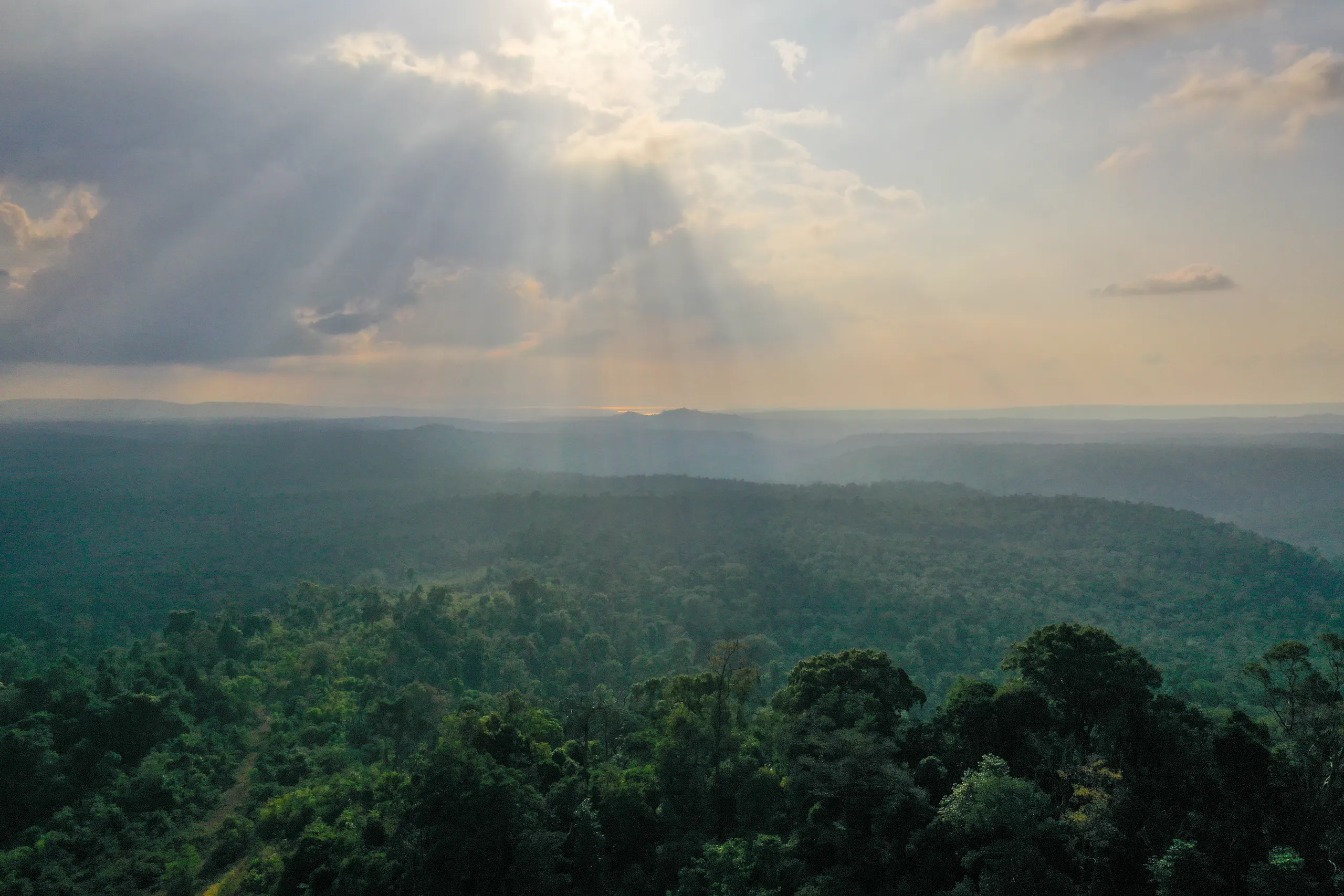 Aerial view of forested hills at sunrise in Cambodia's Cardamom Mountains