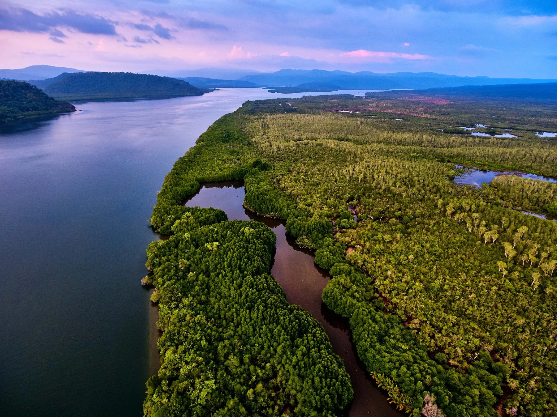 Aerial view of a river winding through mangrove forest at dusk in Cambodia's Cardamom Mountains