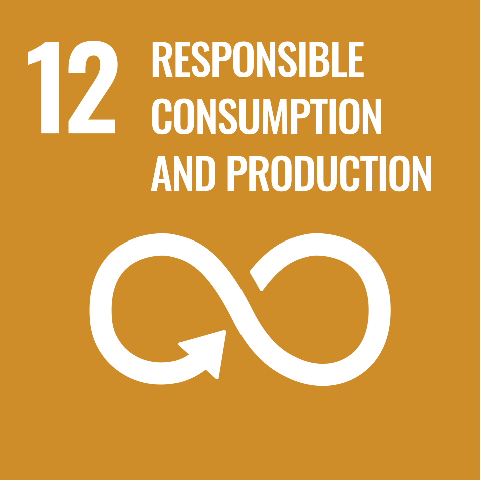 UN Sustainable Development Goal 12: Responsible Consumption and Production