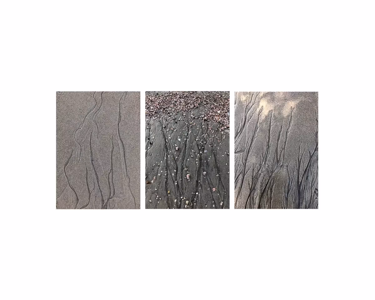 triptych, each photo is a pattern in the sand made by water flowing. Each looks like a tree etching 
