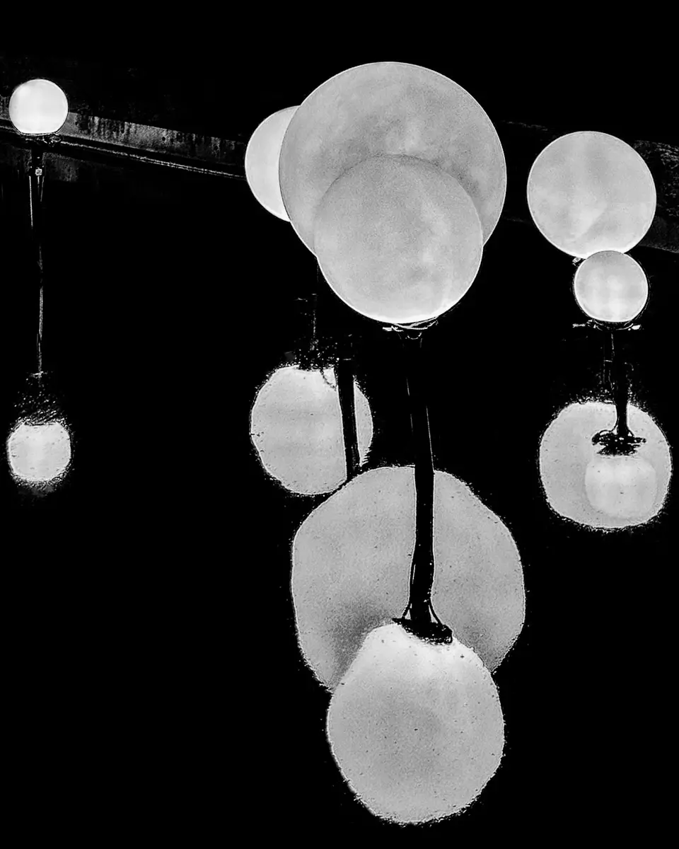 NY Botanical Garden, black and white of round lights and the reflections in water