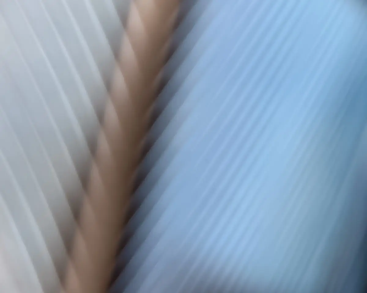 macro of a bird feather in white and blue