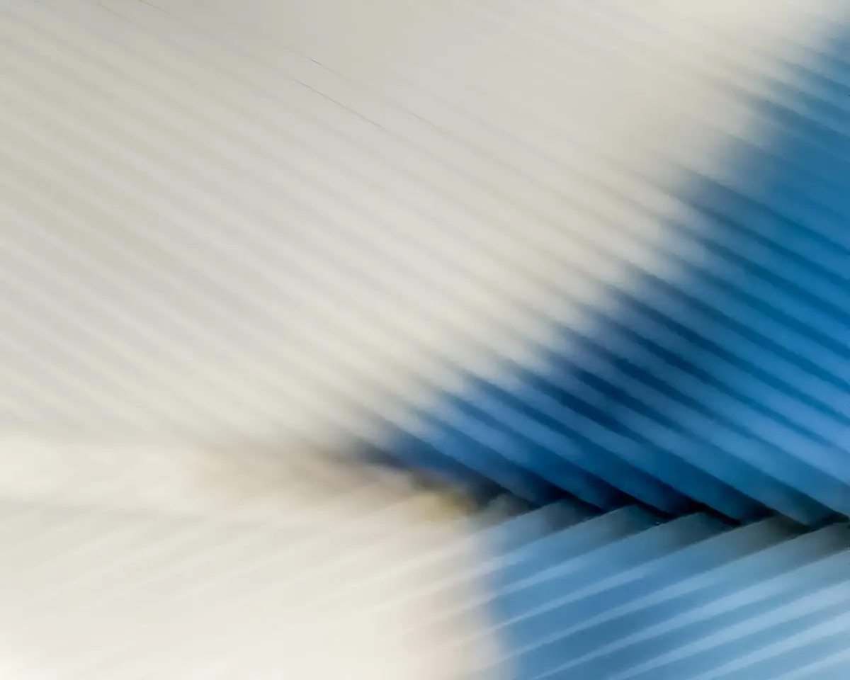 macro of a bird feather in white and blue