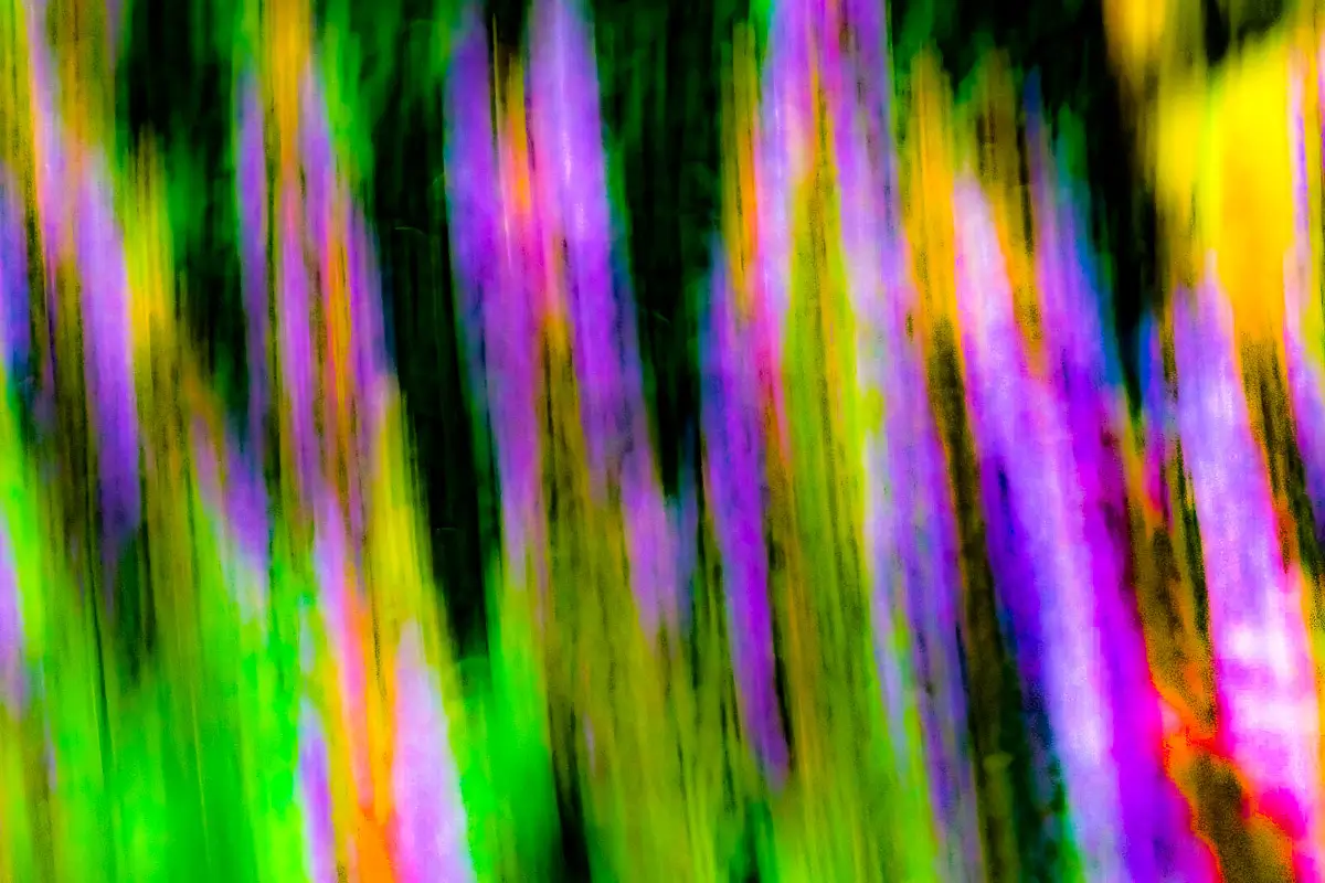 intentional camera movement to create colored pattern from blurred flower