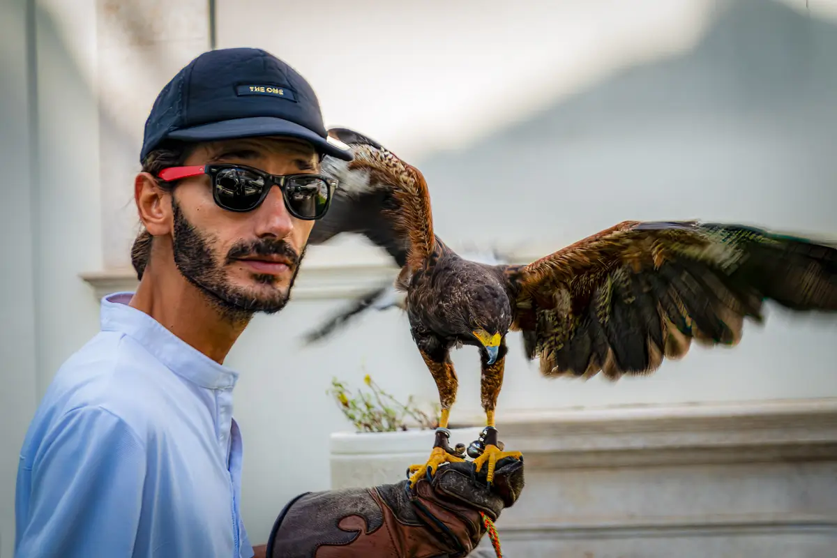 Portugal: Eagle trainer with eagle