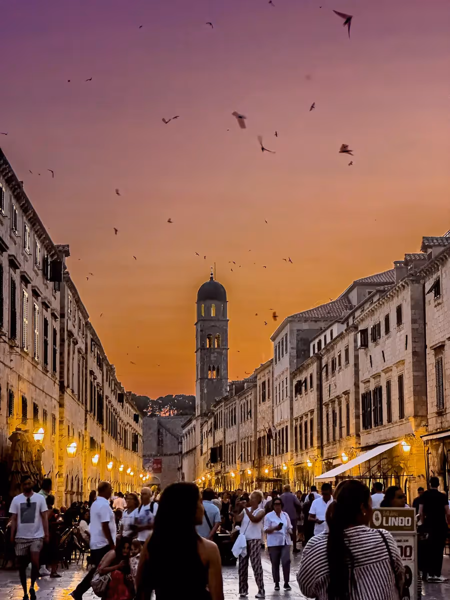 busy main street in Croatia at sunset with birds flying everywhere