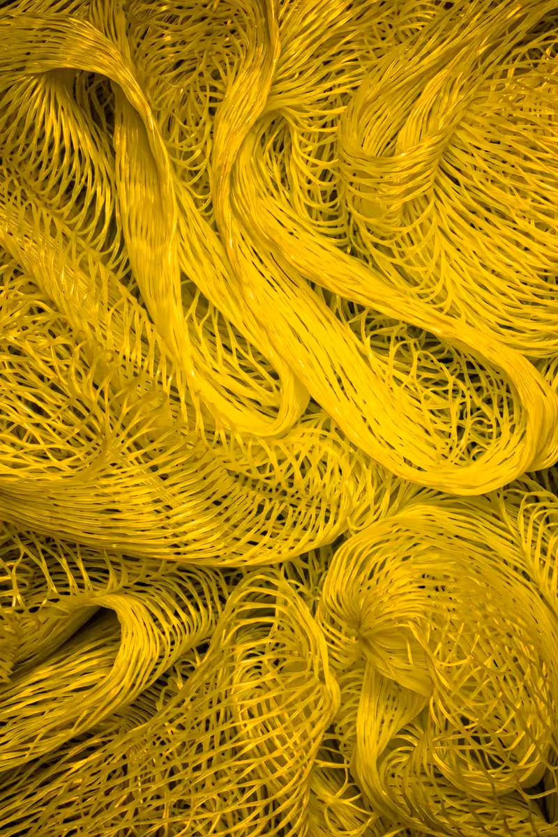 yellow abstract pattern of scrungie
