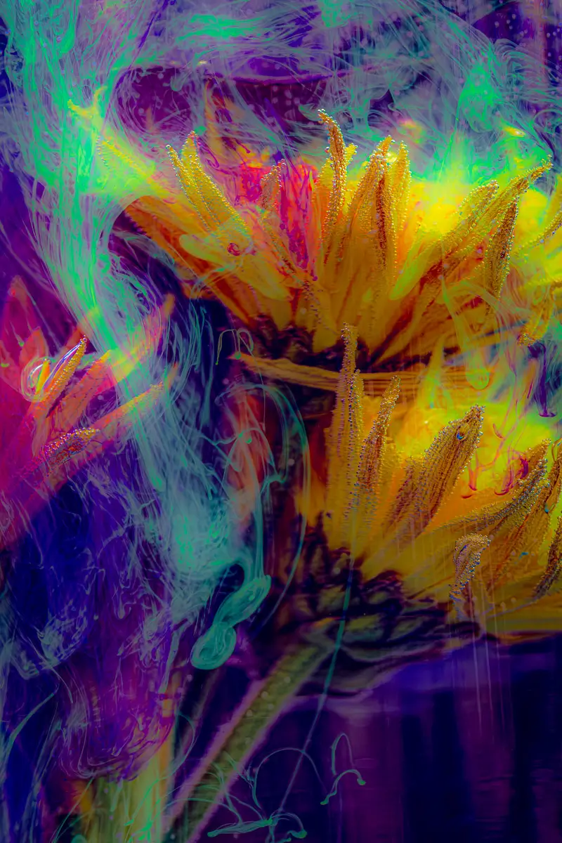 submerged series with water, botanicals and ink: fluorescent depths, brightly colored flowers and ink
