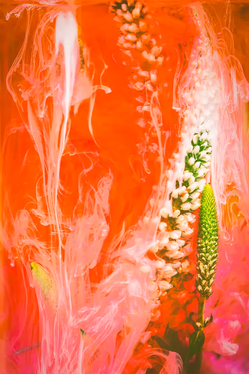 Submerged Series with water, botanicals/flowers and ink: Coral Veil, orange and pink