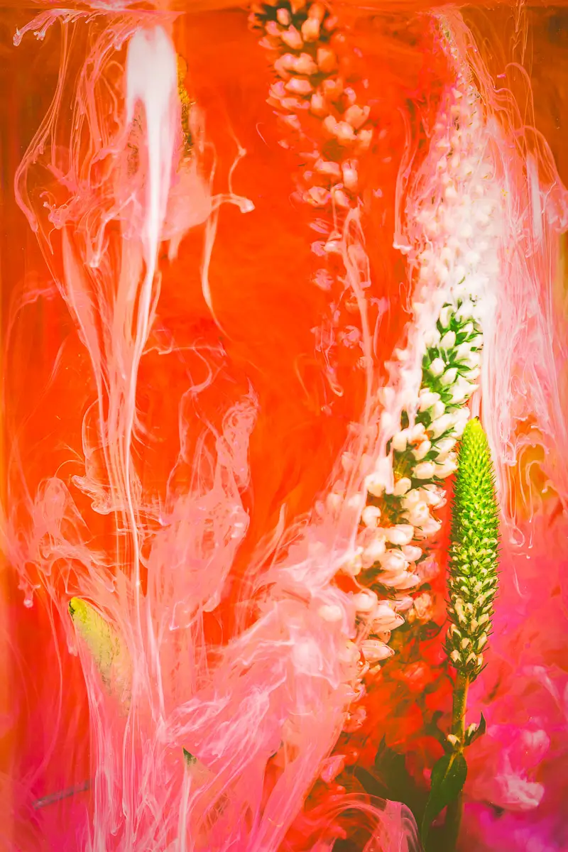 Submerged Series with water, botanicals/flowers and ink: Coral Veil, orange and pink