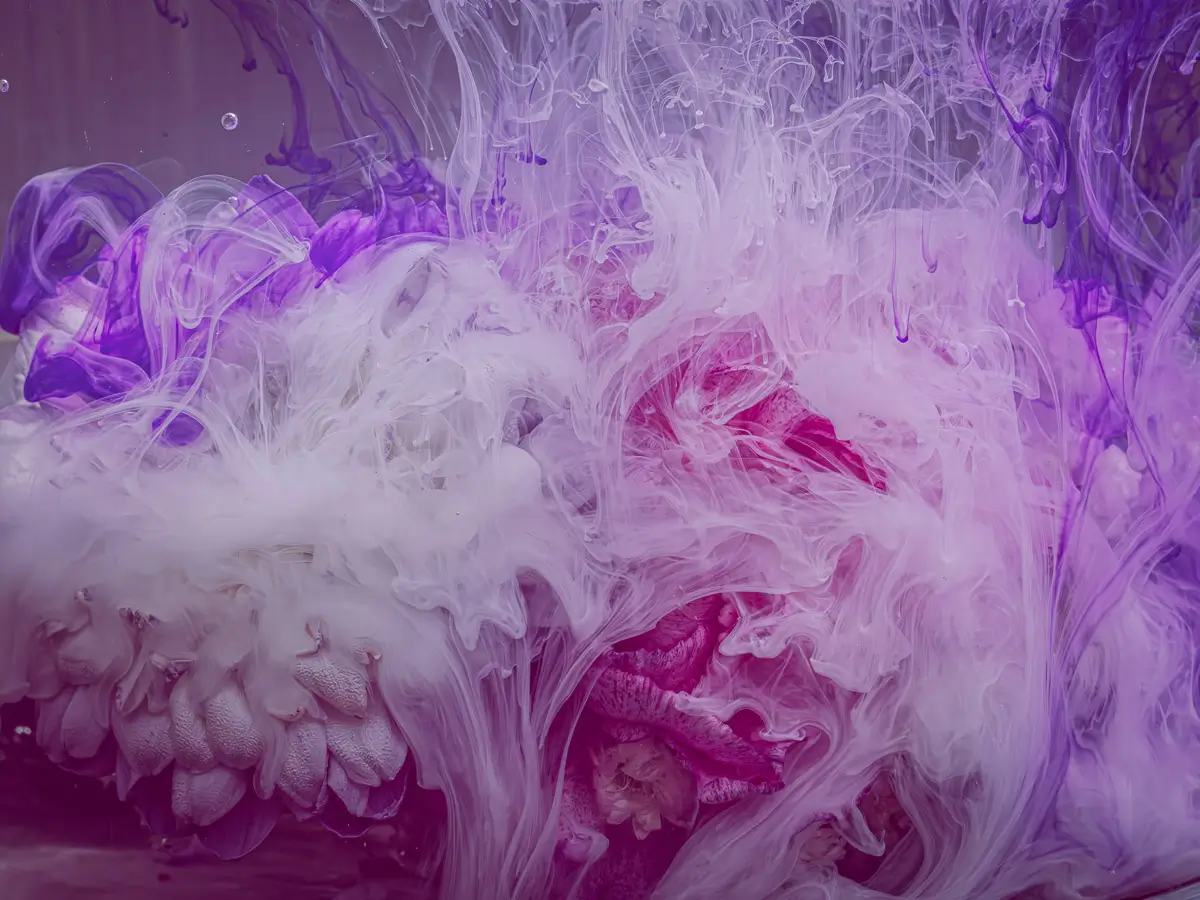 Submerged Series with water, botanicals/flowers and ink: Delicate Fusion with purple and pink and white