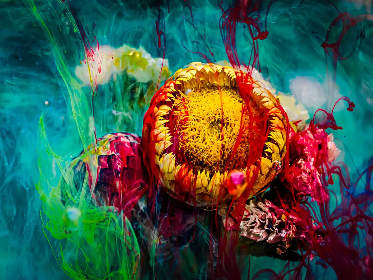 Submerged Series with water, botanicals/flowers and ink: Primal Bloom, dramatci scene with almost closed yellow flower and bright inks swirling