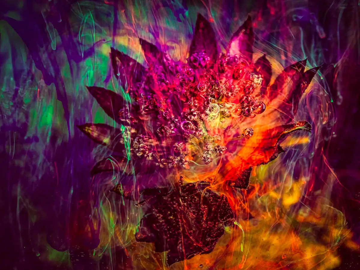 Submerged Series with water, botanicals/flowers and ink: Fantasy, deep colors and sharp angled petals create fantasy world