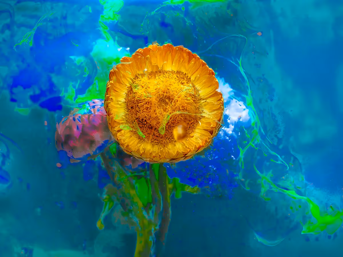 Submerged Series with water, botanicals/flowers and ink: Golden Sunshine, big yellow flower with blue and green swirling ink
