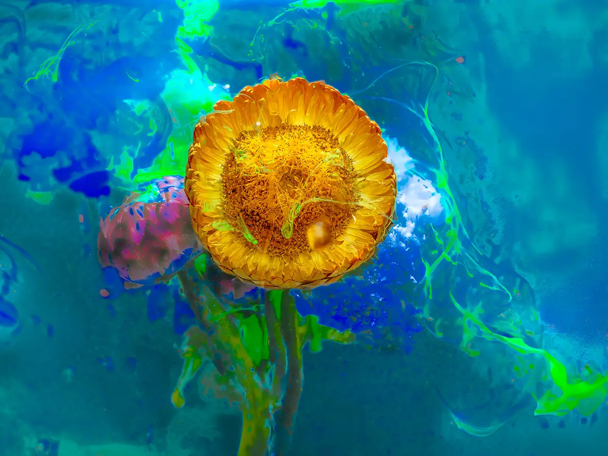 Submerged Series with water, botanicals/flowers and ink: Golden Sunshine, big yellow flower with blue and green swirling ink