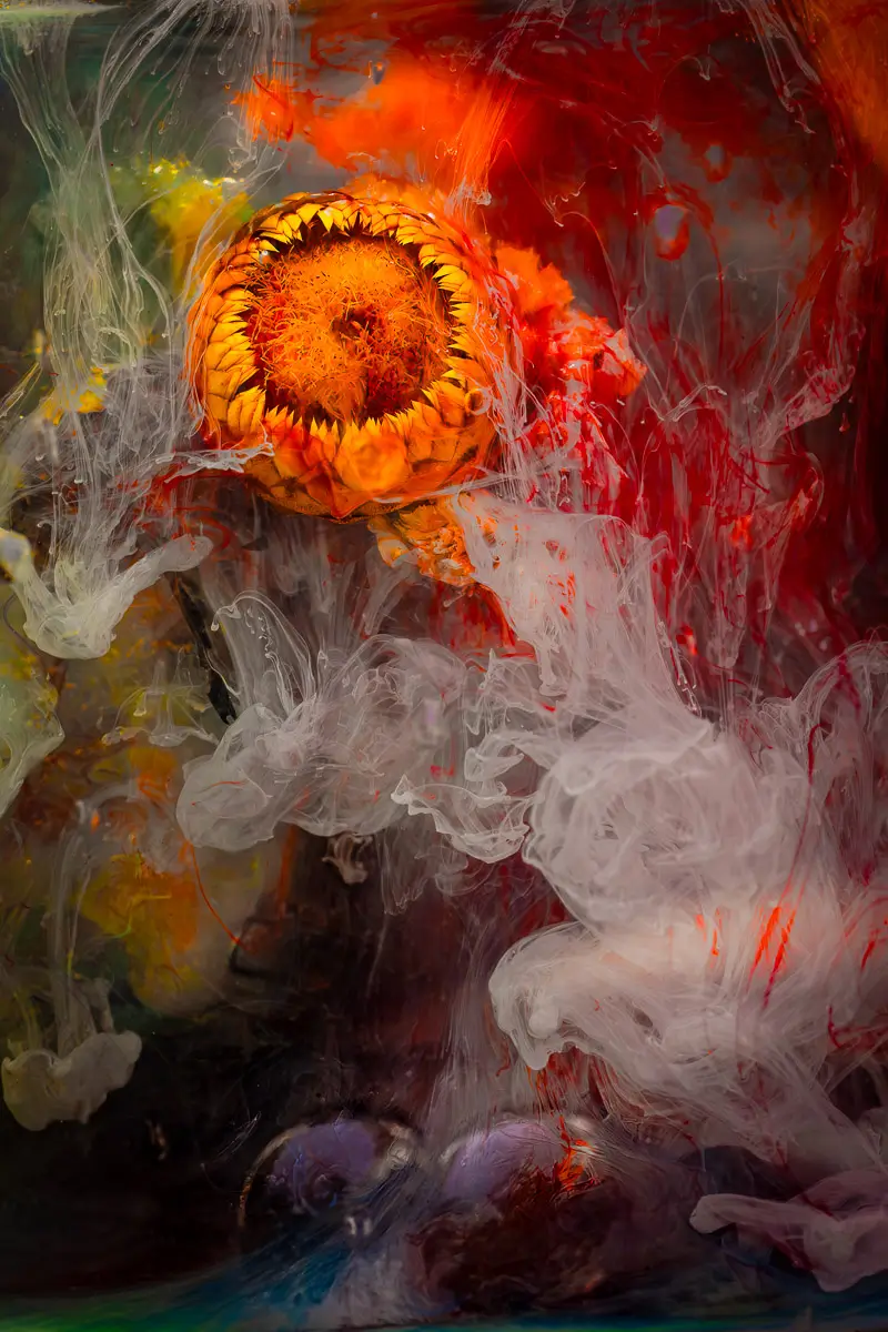 Submerged Series with water, botanicals/flowers and ink: Fiery Genesis, dramatic scene with yellow flower and deep, moody colors swirling