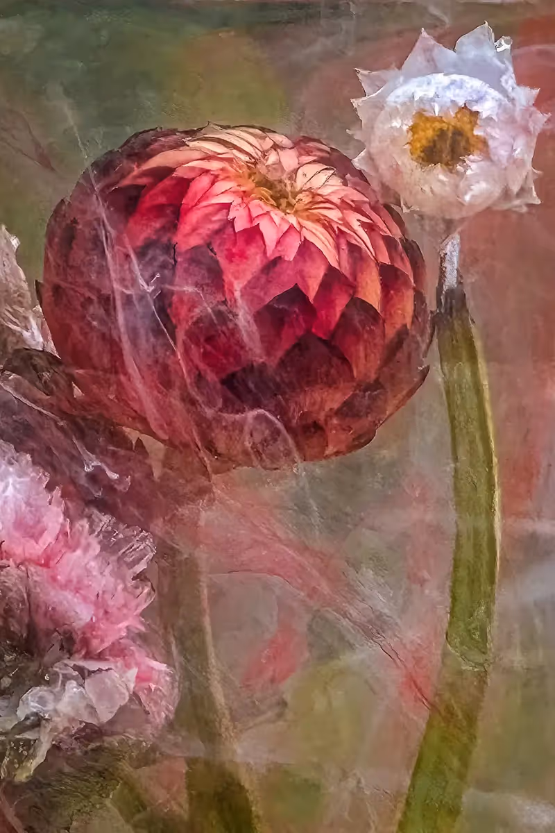 Submerged Series with water, botanicals/flowers and ink: Regal Enigma, bold flowers and gentle swilrs