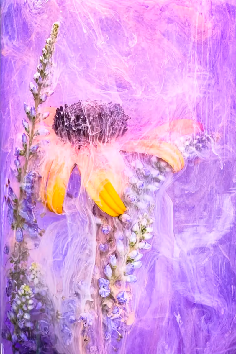 Submerged Series with water, botanicals/flowers and ink: Yellow flower next to white stalk, swirled with gentle purple and white