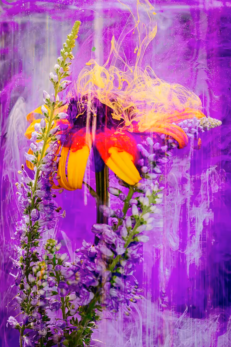 Submerged Series with water, botanicals/flowers and ink: Yellow flower next to white stalk, swirled with bright purple and white