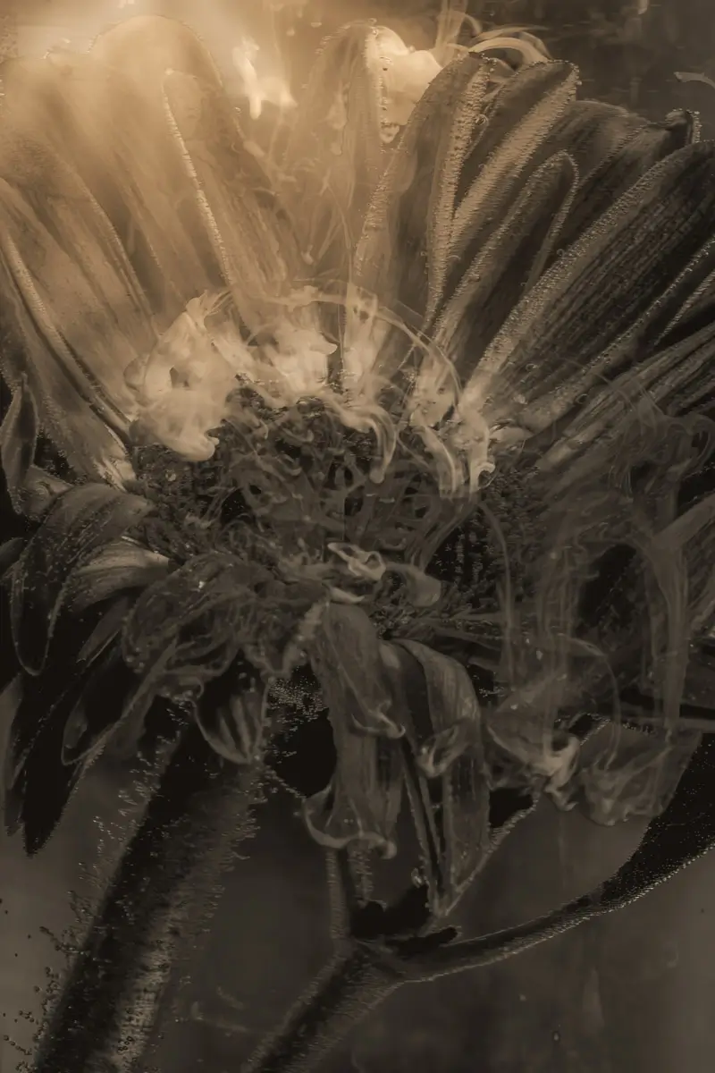 submerged series with water, botanicals and ink: smoky depths, black and white