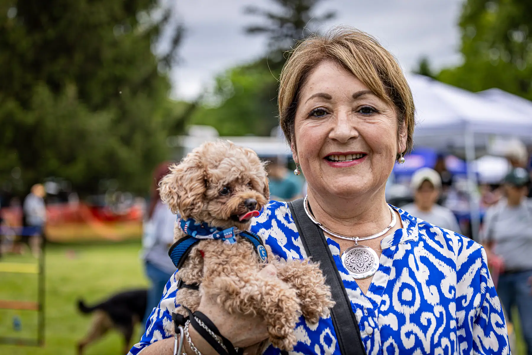 Westport CT dog festival: dog and owner look-alikes