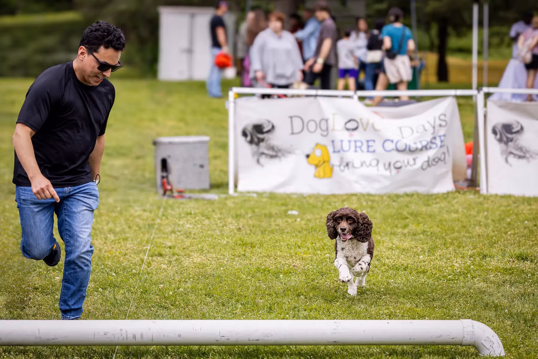 Westport CT dog festival: dog jumping over pole with father leading