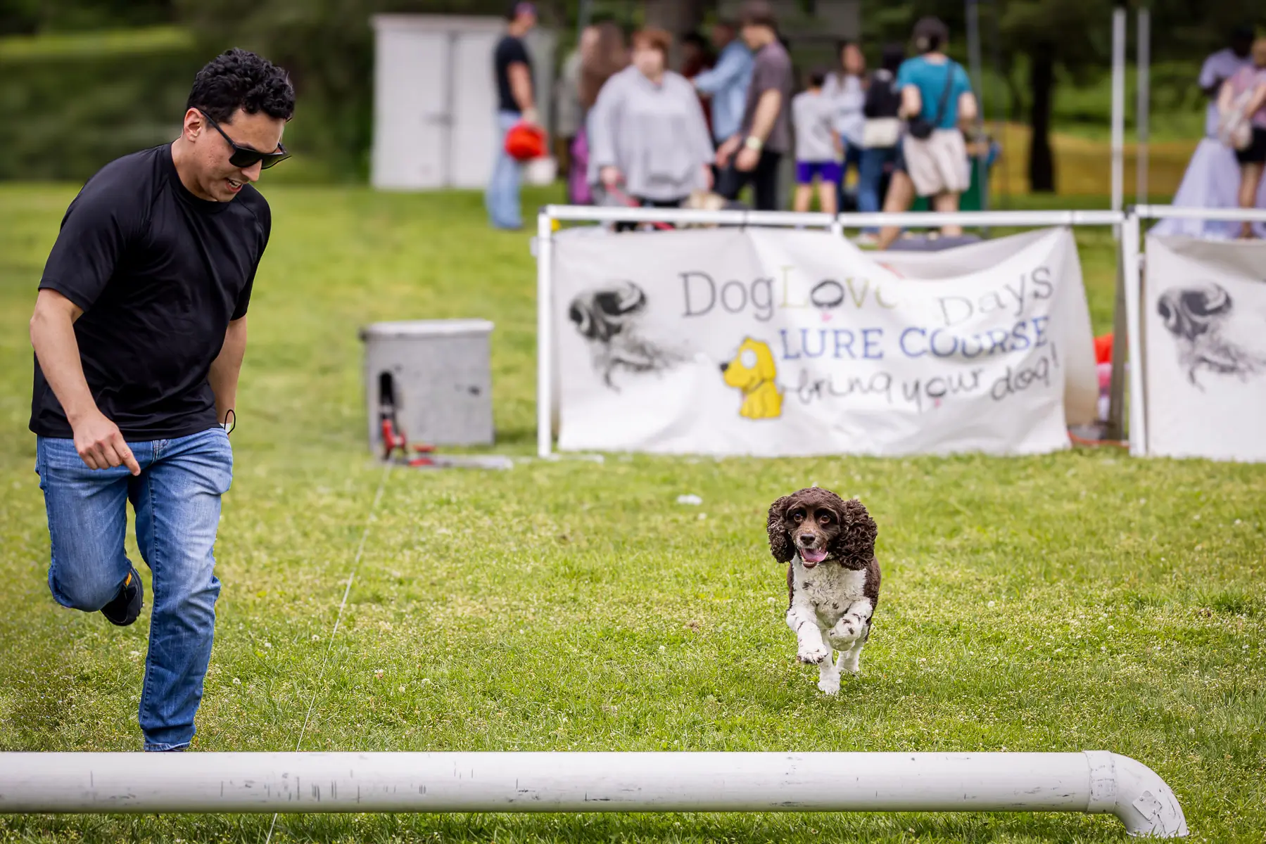 Westport CT dog festival: dog jumping over pole with father leading