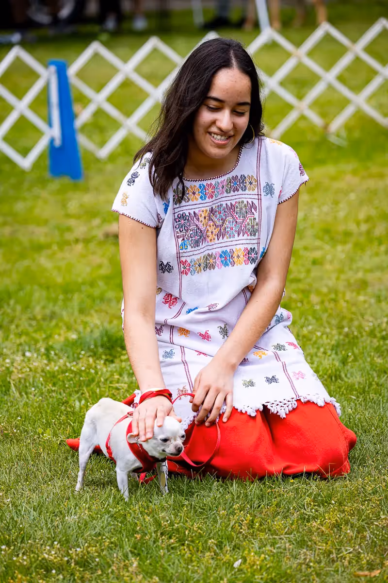 Westport CT dog festival: dog and owner look-alikes