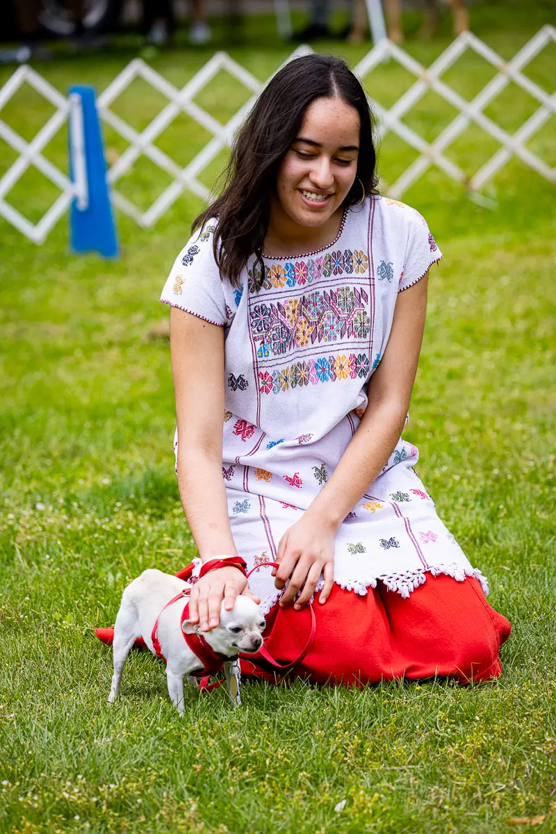 Westport CT dog festival: dog and owner look-alikes