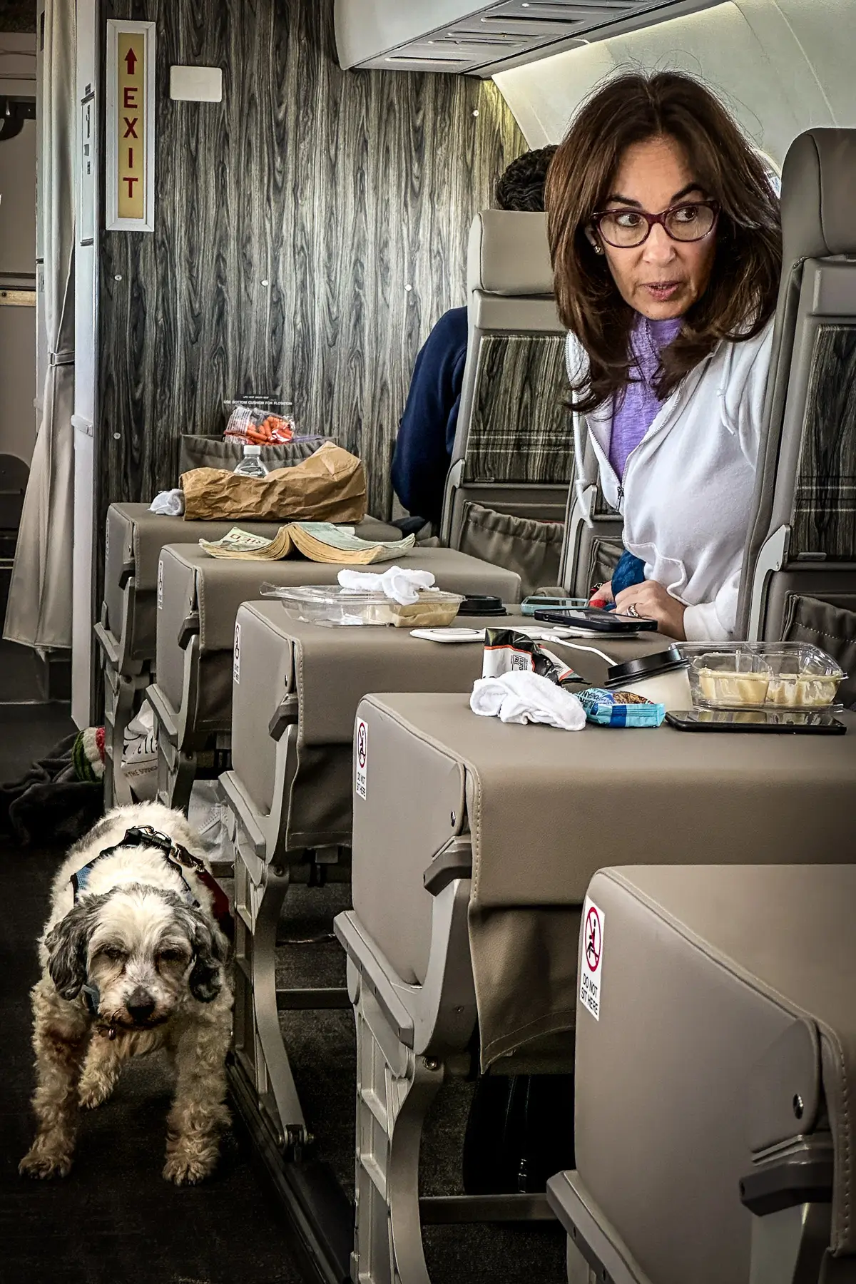 Dog and owner look alike on airplane