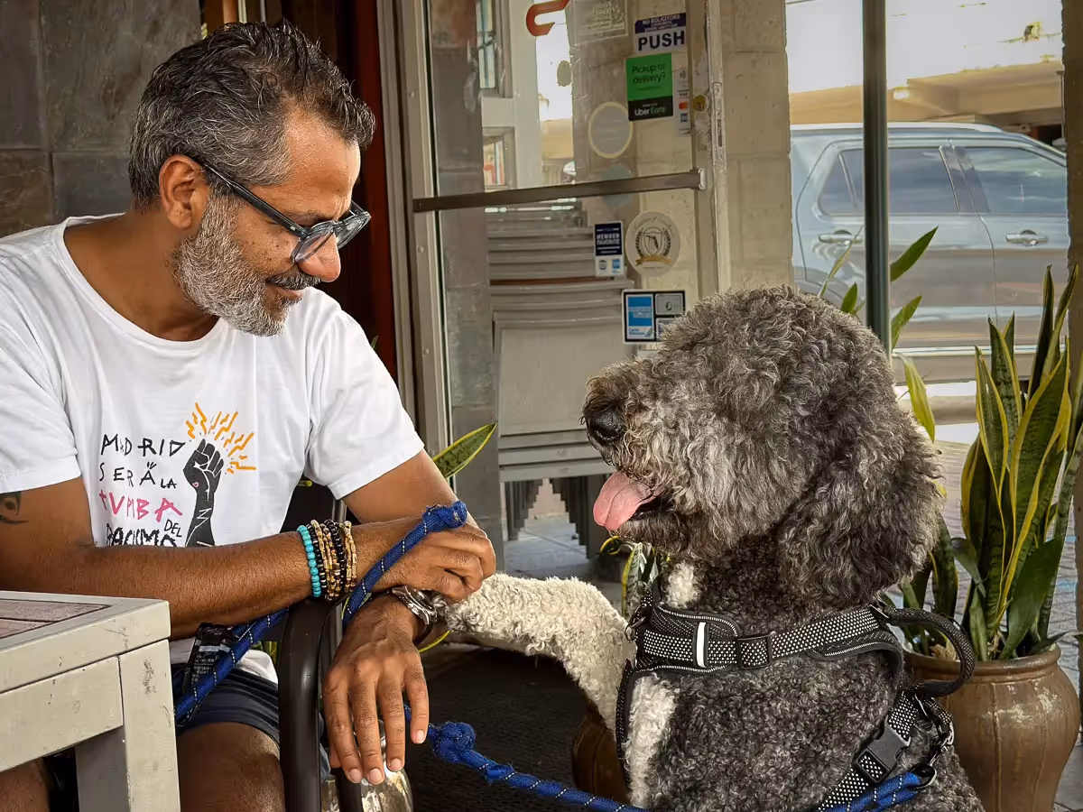 Dog and owner look alike: fluffy, love