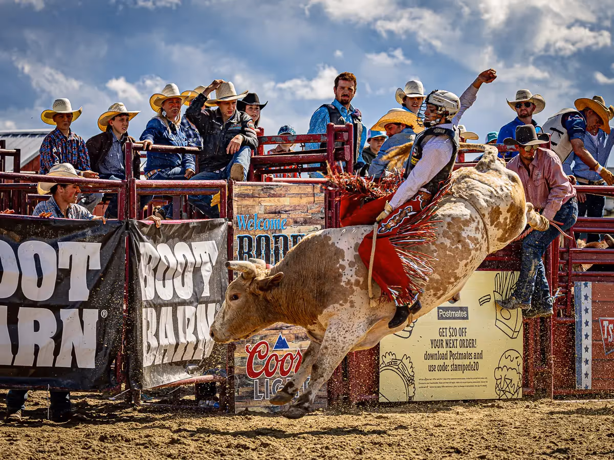 Goshen NY Rodeo: bull riding