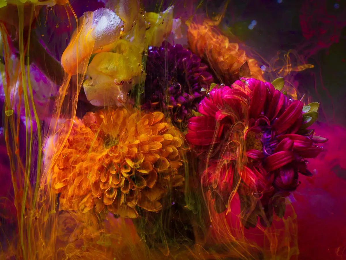 Submerged Series with water, botanicals/flowers:  pink and yellow bright flowers with bright ink swirls