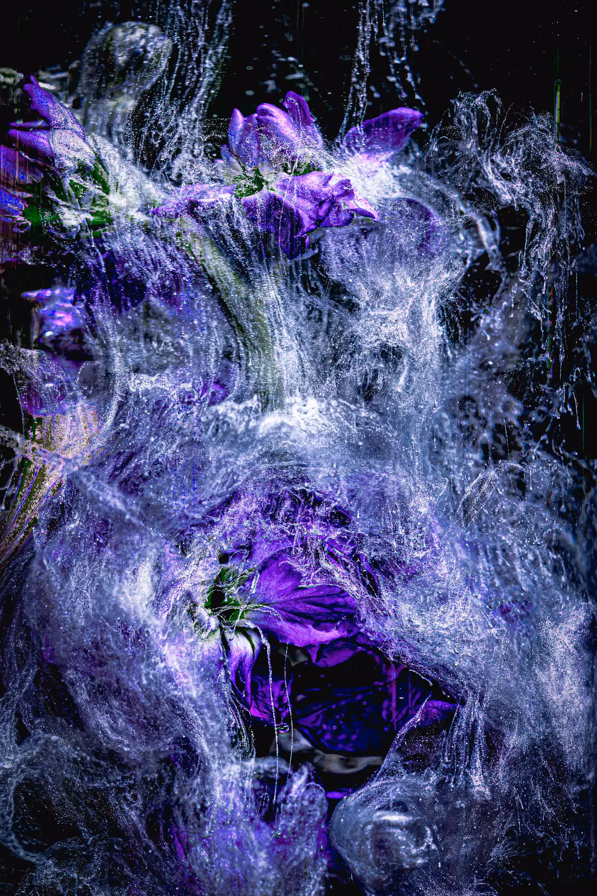 Submerged Series with water, botanicals/flowers: purple flowers with dramatic white, silvery swirls and black background