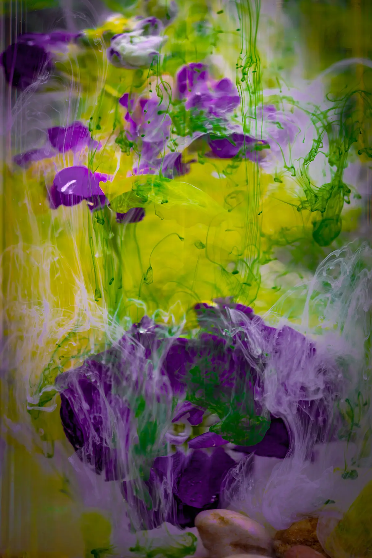 Submerged Series with water, botanicals/flowers:  soft and light feeling, purple flowers with halo of yellow