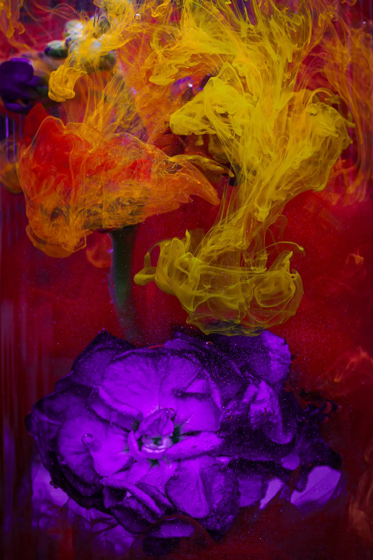 Submerged Series with water, botanicals/flowers: dramatic and bright swirled ink around flowers
