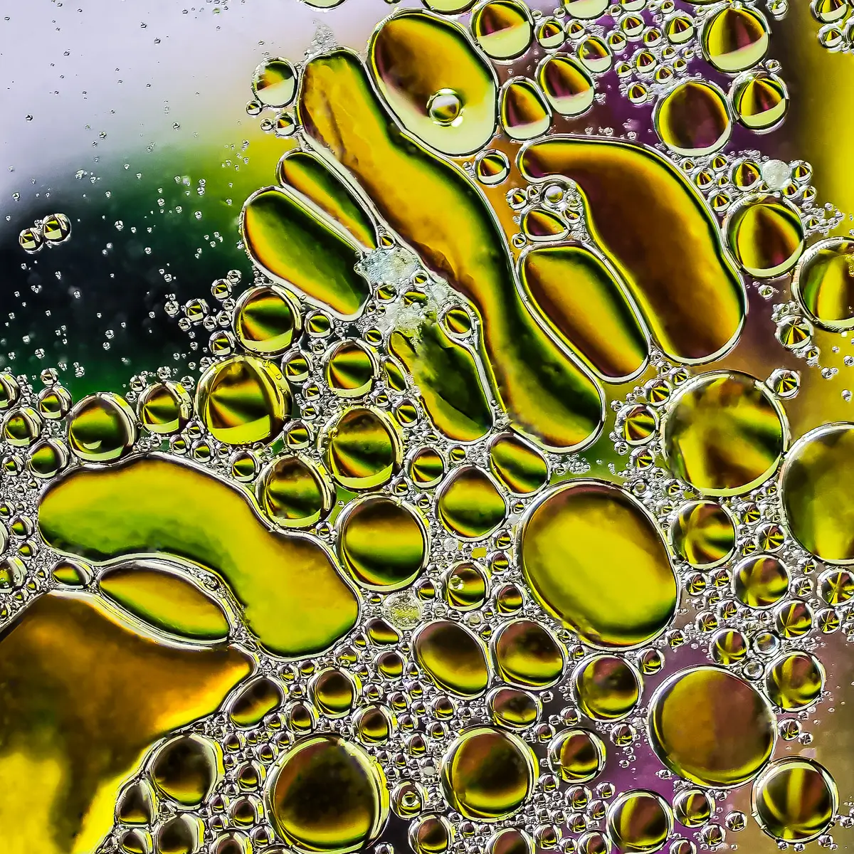Immiscible: abstract of oil and water with a colorful background. 