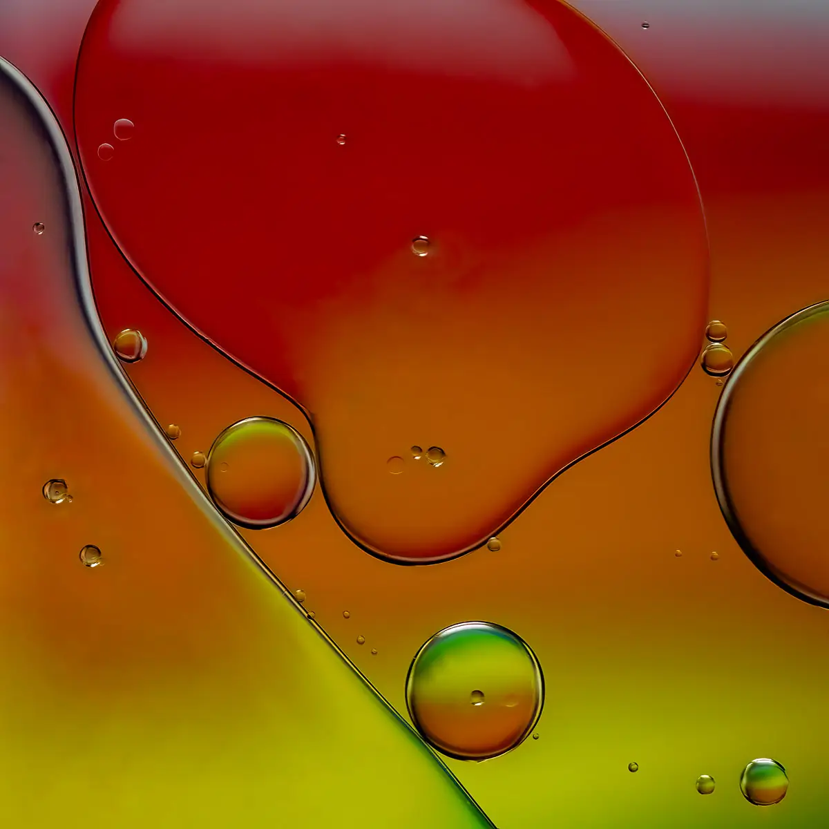 Immiscible: abstract of oil and water with a colorful background. 
