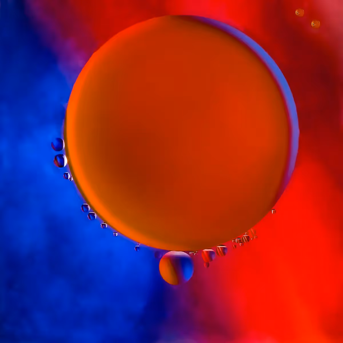 Immiscible: abstract of oil and water with a colorful background.  Red and blue