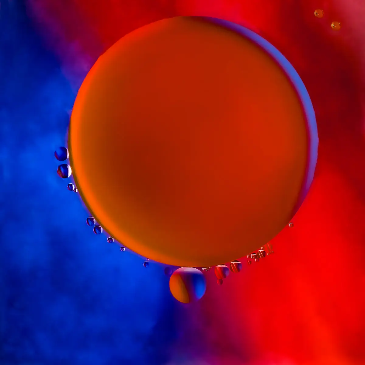 Immiscible: abstract of oil and water with a colorful background.  Red and blue